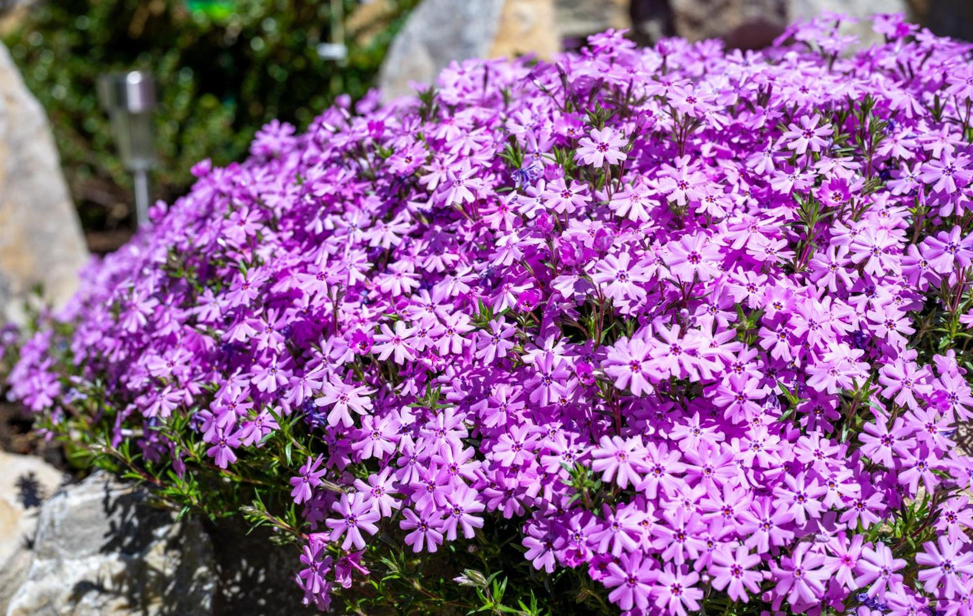 Chata Vanda Strba Exterior photo